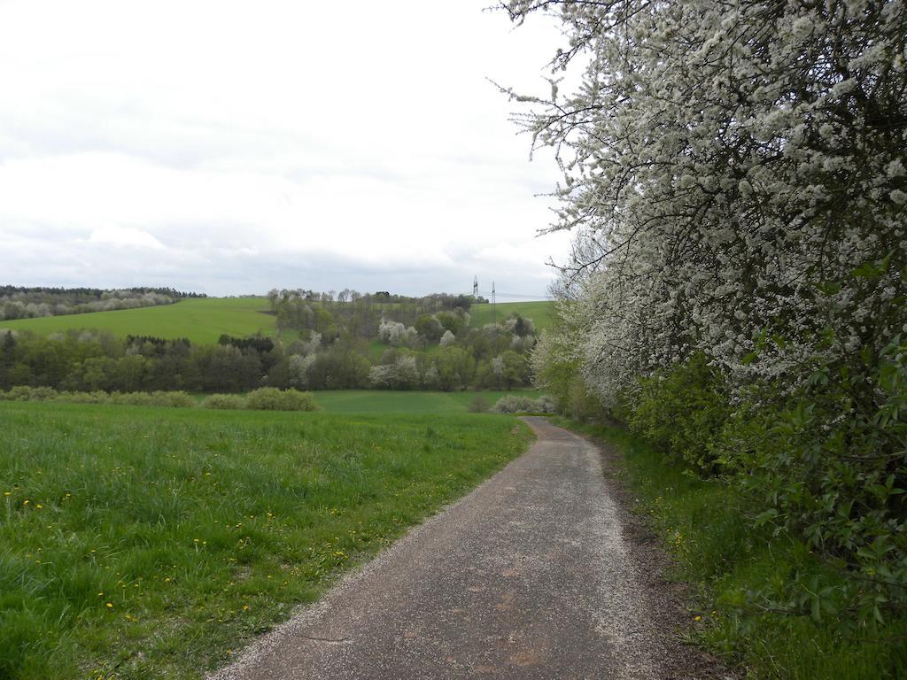 Thueringer Hof 호텔 Richelsdorf 외부 사진