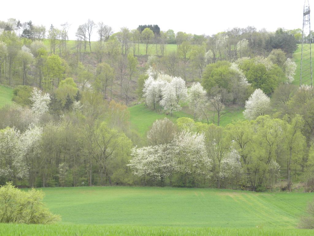 Thueringer Hof 호텔 Richelsdorf 외부 사진